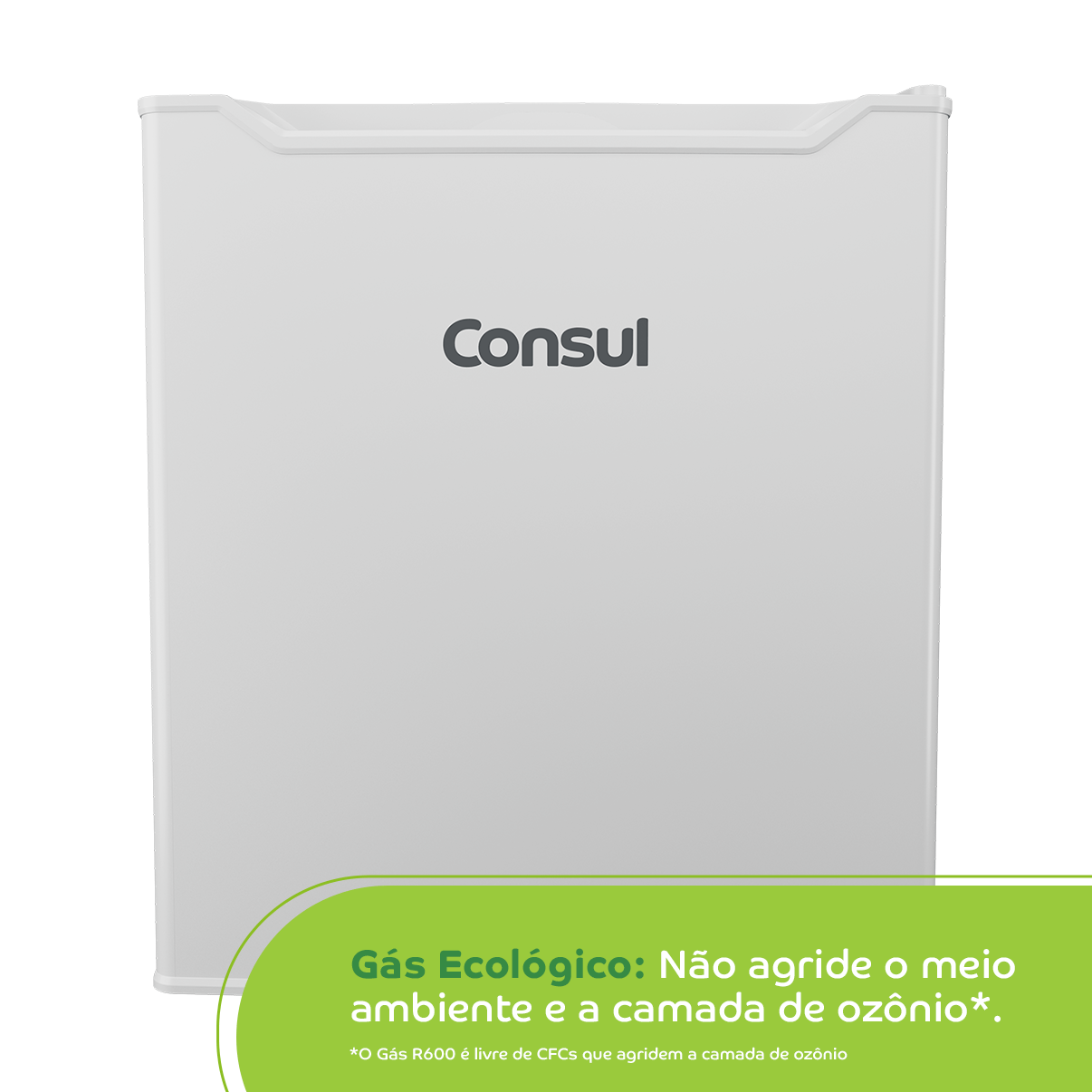 Gás Ecológico